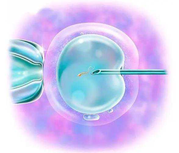 国内代生哪家安全,如果在大兴安岭私立医院做试管大约在多少钱左右