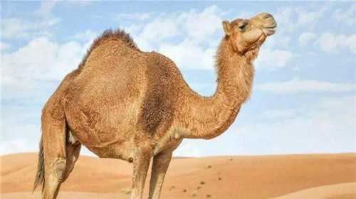 国内供卵,无锡市第五人民医院试管费用？