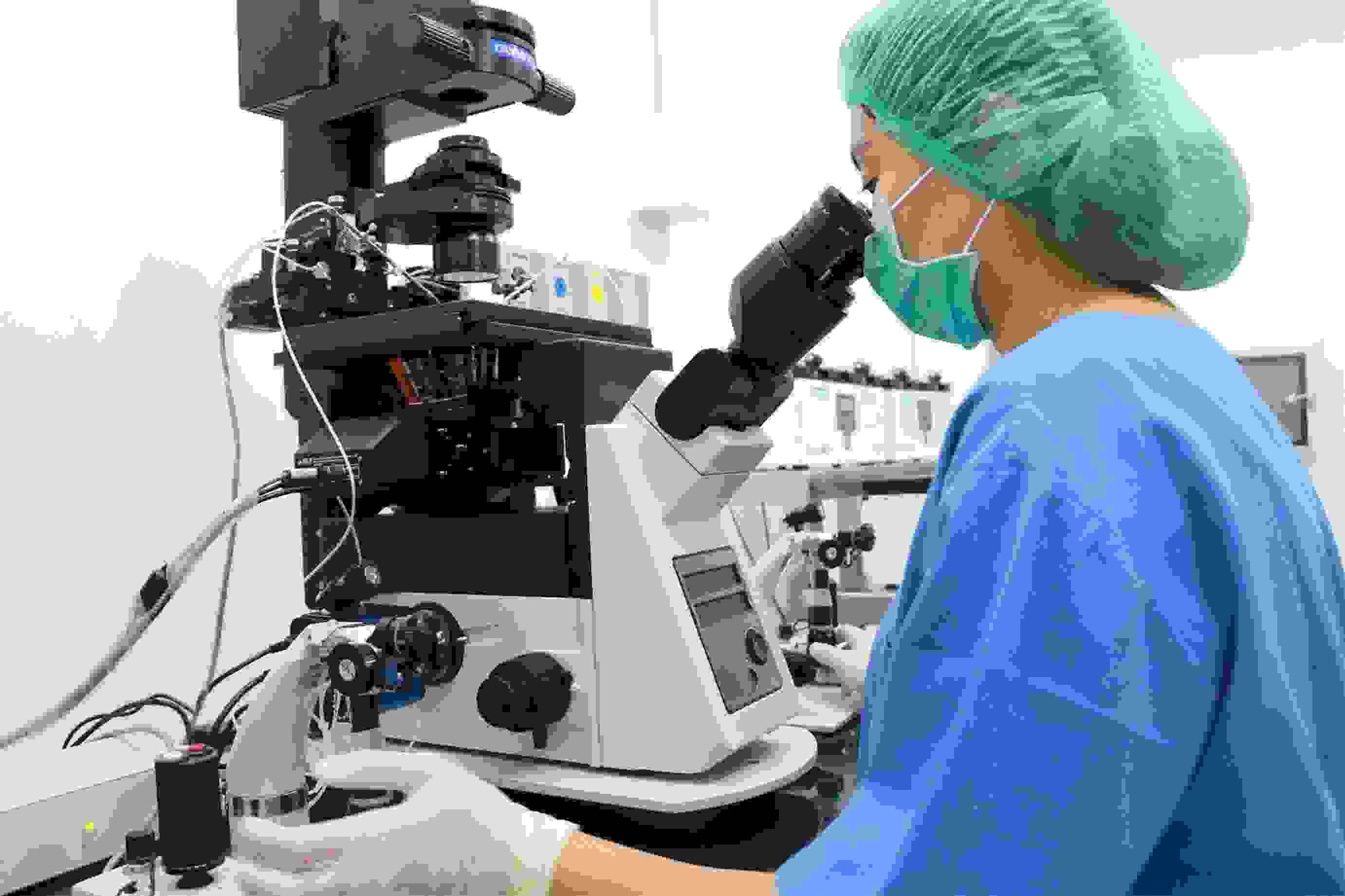 越南试管婴儿医院